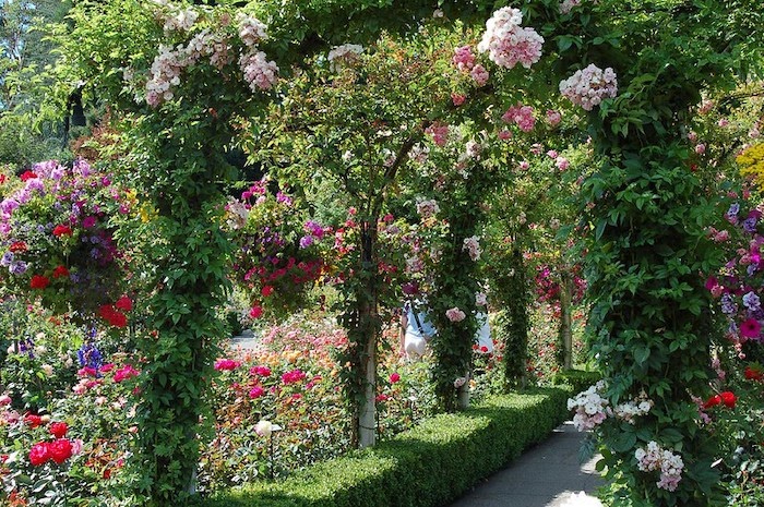 花园有各种盛开的高度，包括乔木和吊篮