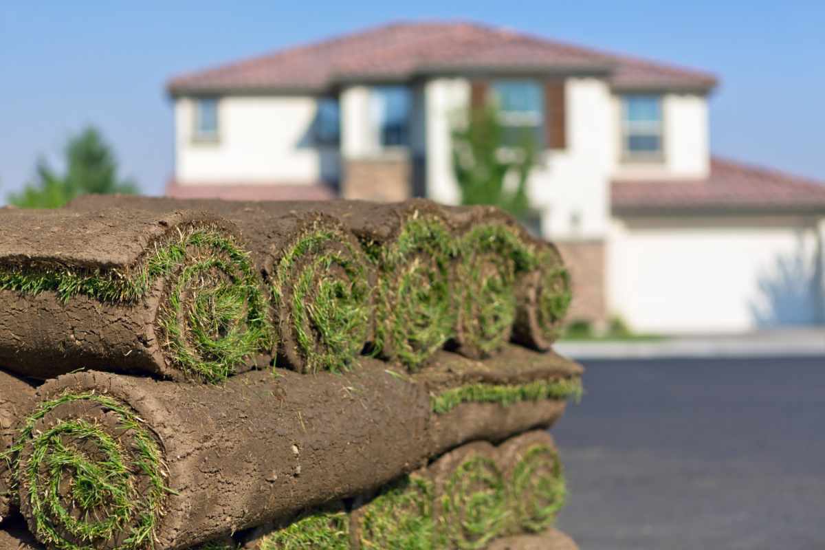 rolls of sod over each other